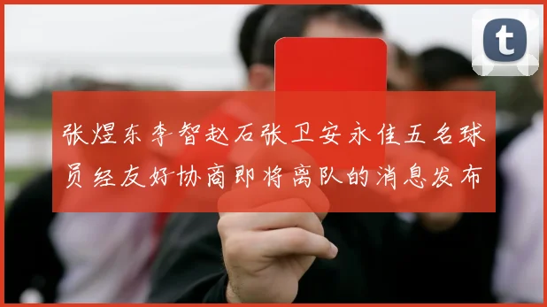张煜东李智赵石张卫安永佳五名球员经友好协商即将离队的消息发布
